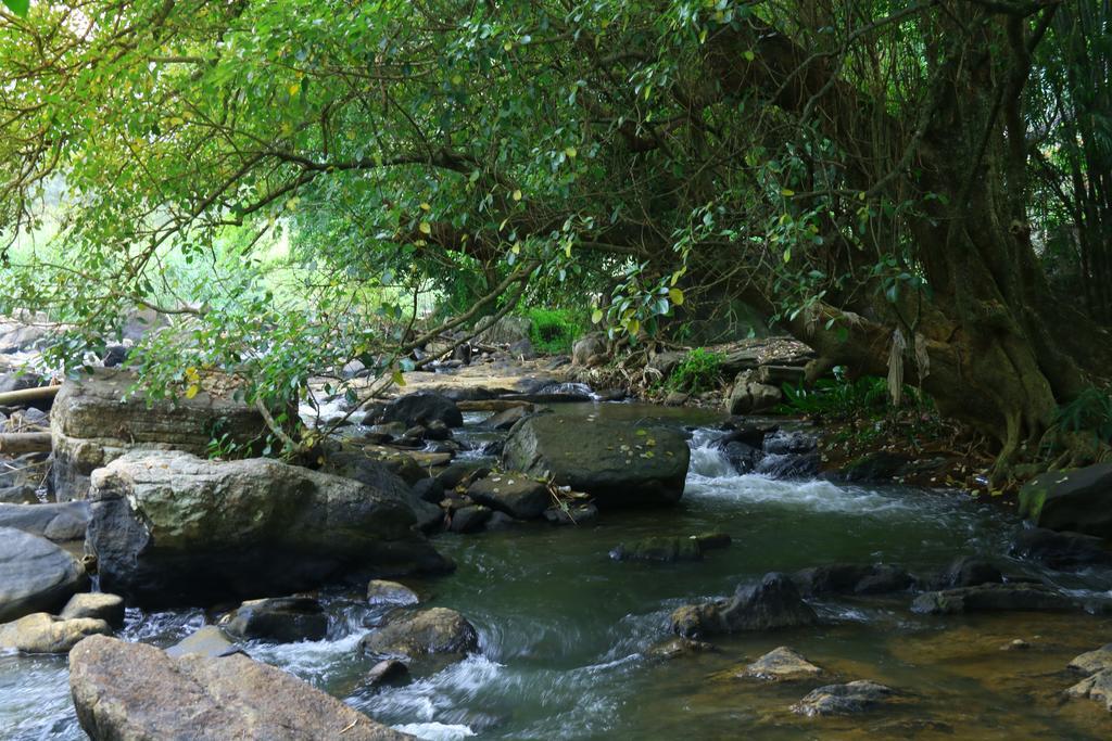 Nivahana Homestay Kandy Eksteriør billede