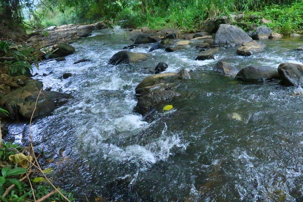 Nivahana Homestay Kandy Eksteriør billede