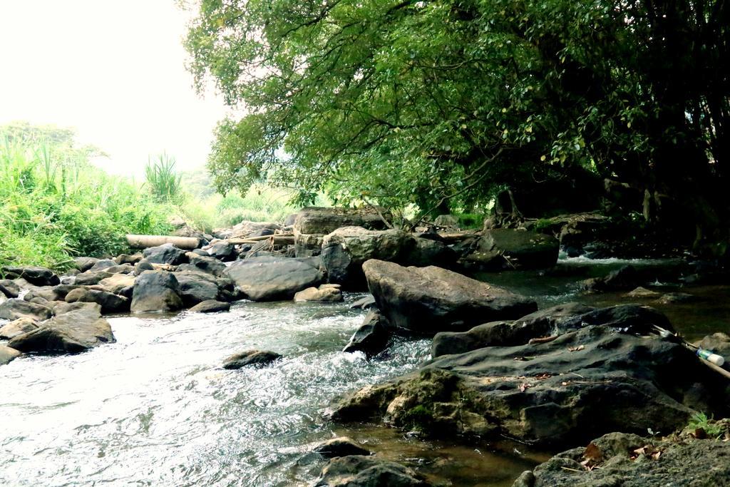 Nivahana Homestay Kandy Eksteriør billede