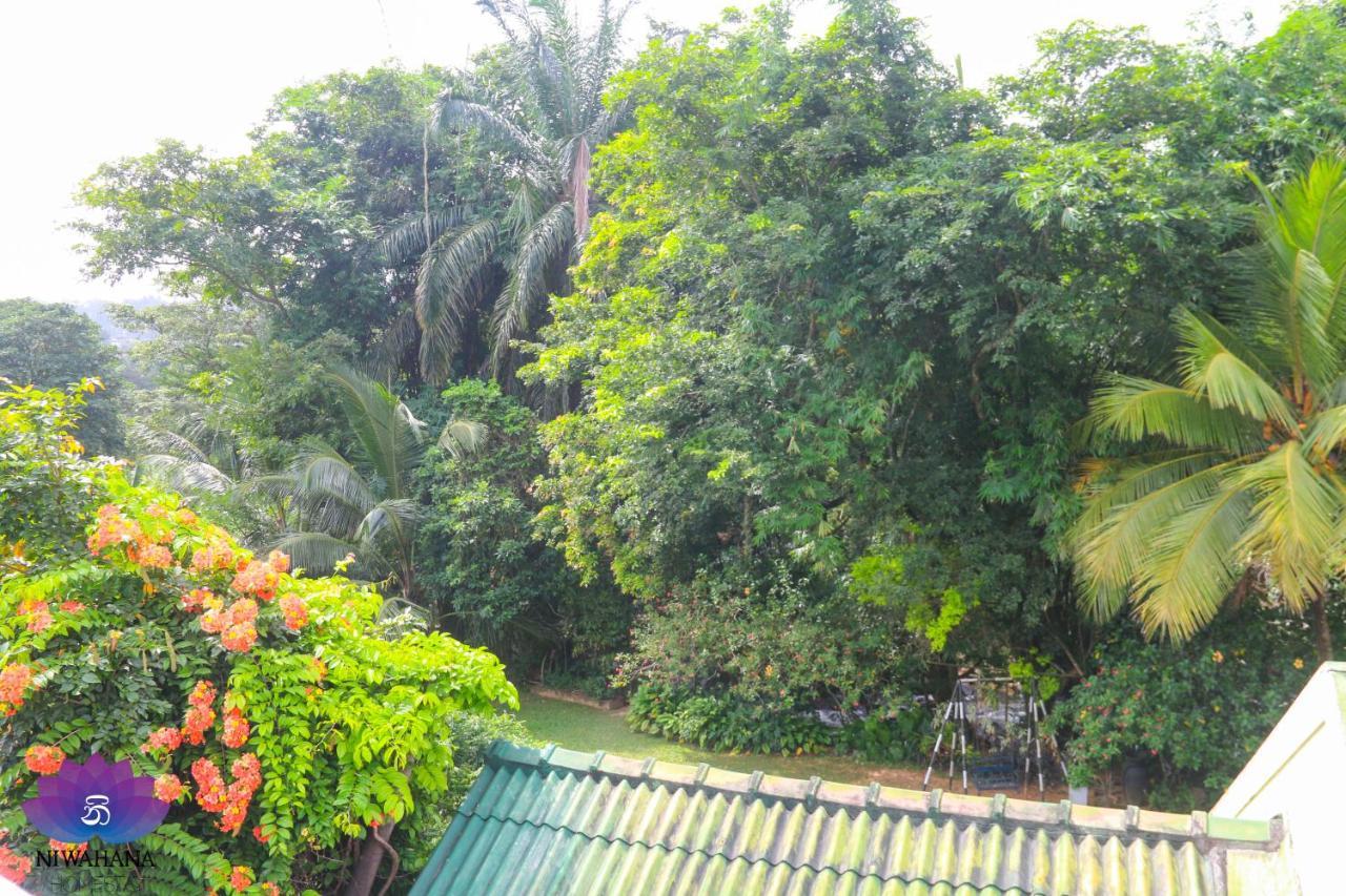 Nivahana Homestay Kandy Eksteriør billede