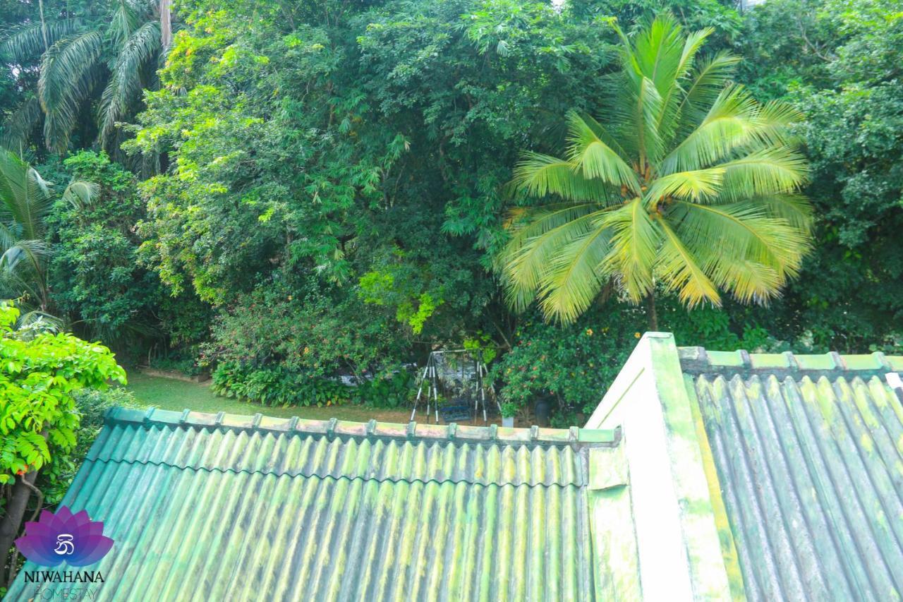 Nivahana Homestay Kandy Eksteriør billede
